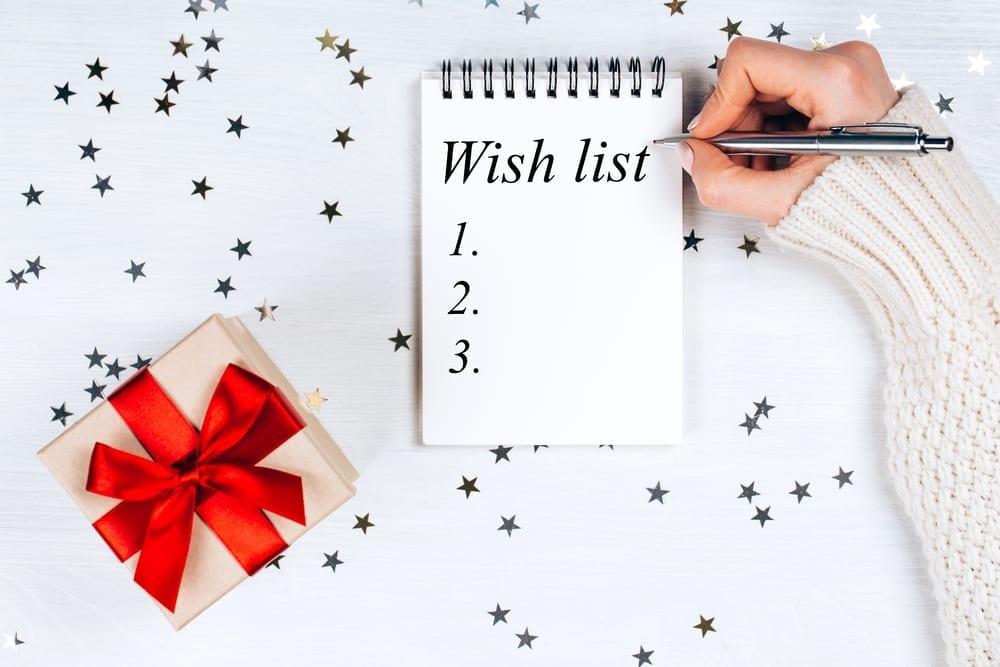 BFM’s 2019 Holiday Wish List