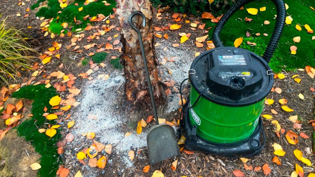 Wood Ash From Home Fireplaces Can Enrich Garden Soil Here S How