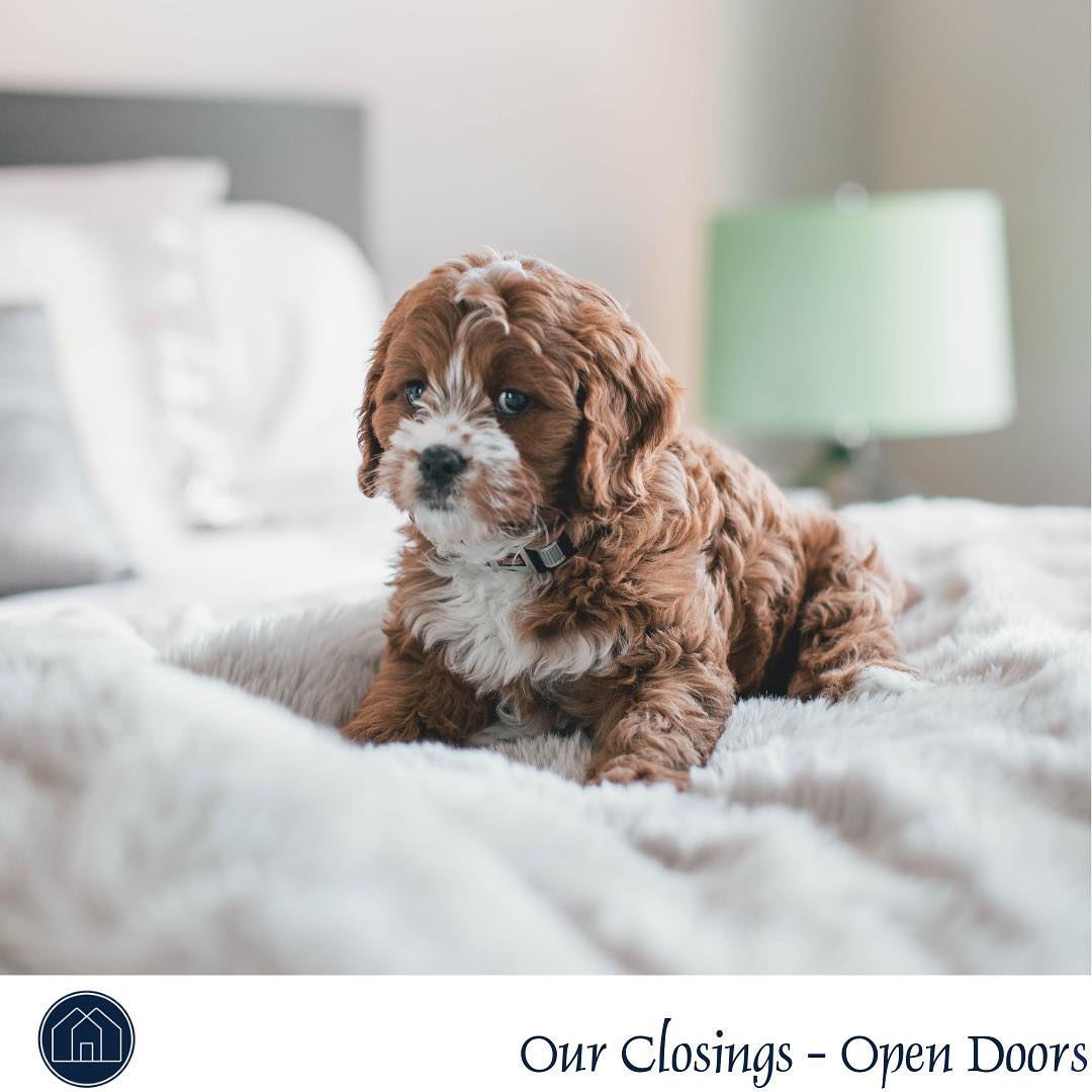 WEDNESDAY is the BEST DAY of the week to SCHEDULE a Closing. Everyone has Monday and Tuesday to button up last minute items but still beat the Friday rush. Plus, movers are cheaper mid-week!! #wednesdaywisdom