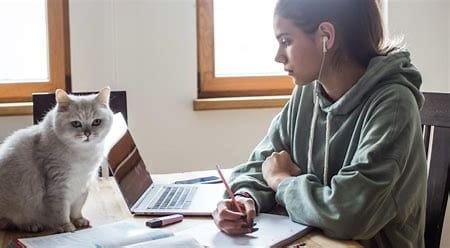 The Benefits of an Online Tutor for English